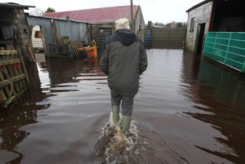 Weekly podcast: flooding, forestry, LacPatrick and young beef farmer