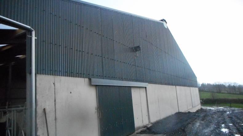 Cubicle shed for cows and heifers Cubicle shed for cows and heifers