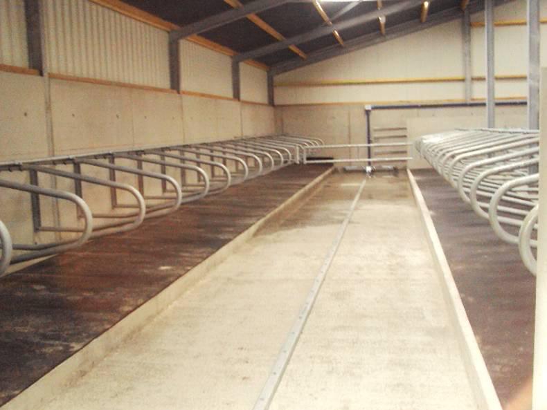 Cubicle shed for cows and heifers Cubicle shed for cows and heifers