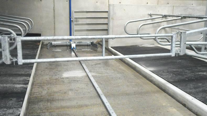 Cubicle shed for cows and heifers Cubicle shed for cows and heifers