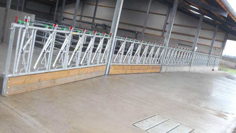 Cubicle shed for cows and heifers Cubicle shed for cows and heifers