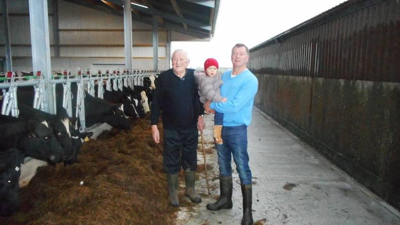 Cubicle shed for cows and heifers Cubicle shed for cows and heifers