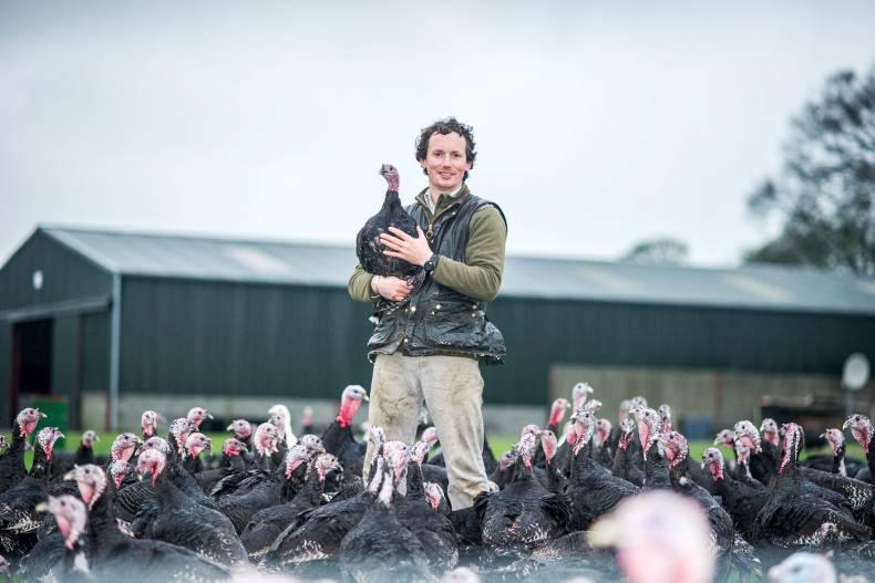 My farming week: Eoin Sharkey, Kells, Co Meath My farming week: Eoin Sharkey, Kells, Co Meath