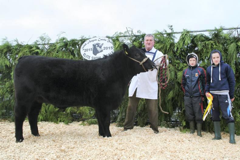 Female champion tops €6,500 for Westmeath breeders