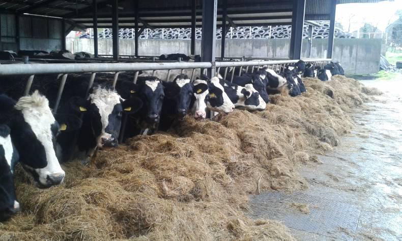 End of year Dairylink farm review End of year Dairylink farm review