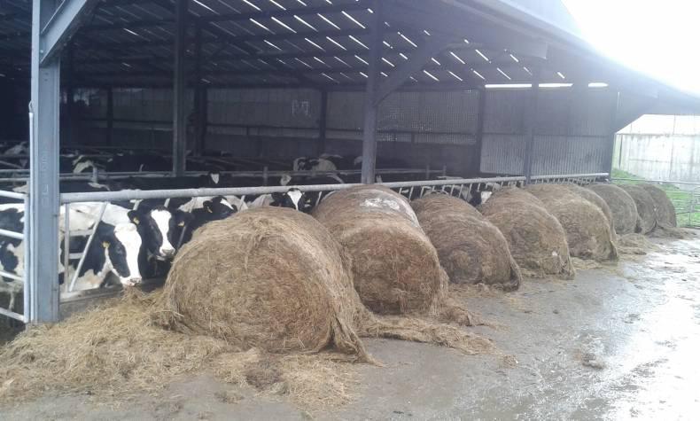 End of year Dairylink farm review End of year Dairylink farm review