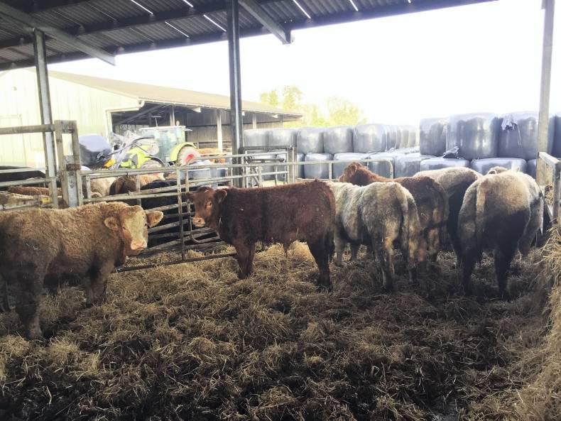 Farmer writes: Progress is progress Farmer writes: Progress is progress