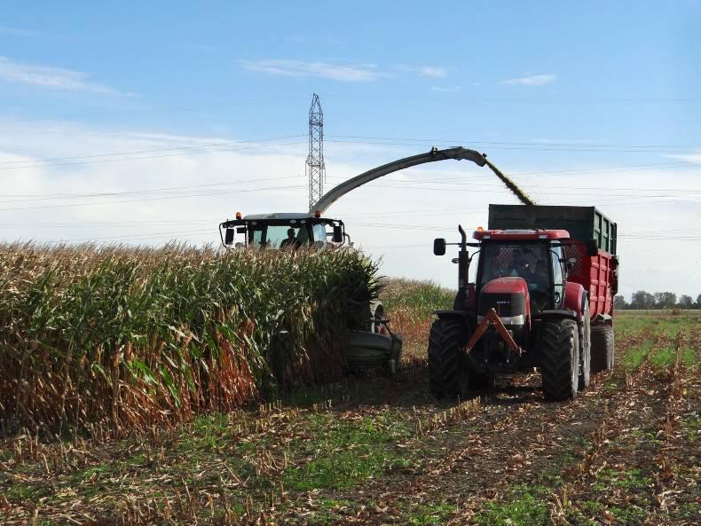 Dairy farming under quota in Canada Dairy farming under quota in Canada