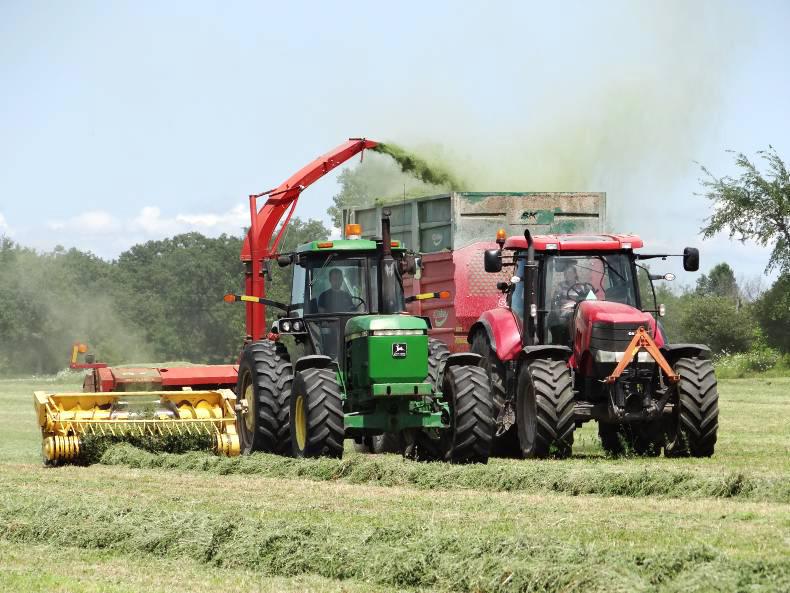 Dairy farming under quota in Canada Dairy farming under quota in Canada