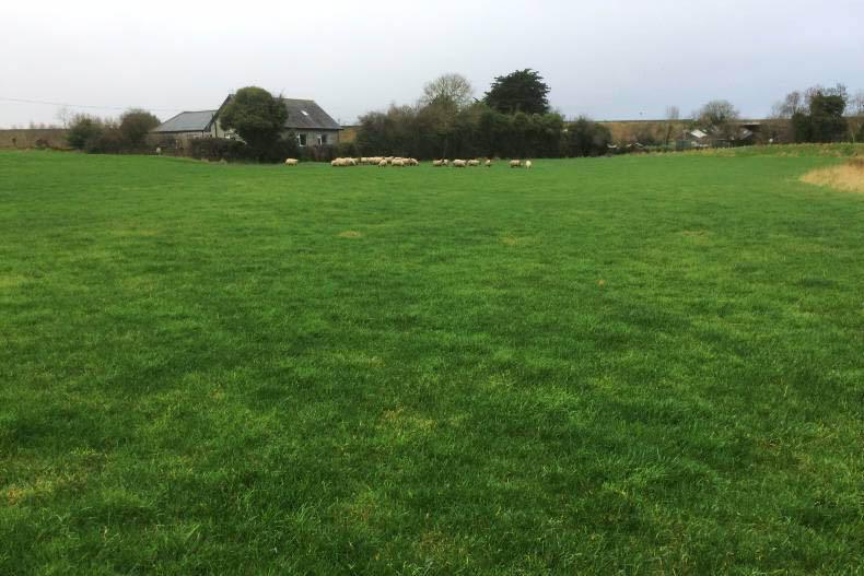 Farmer Writes: However bad things seem, it will get better Farmer Writes: However bad things seem, it will get better