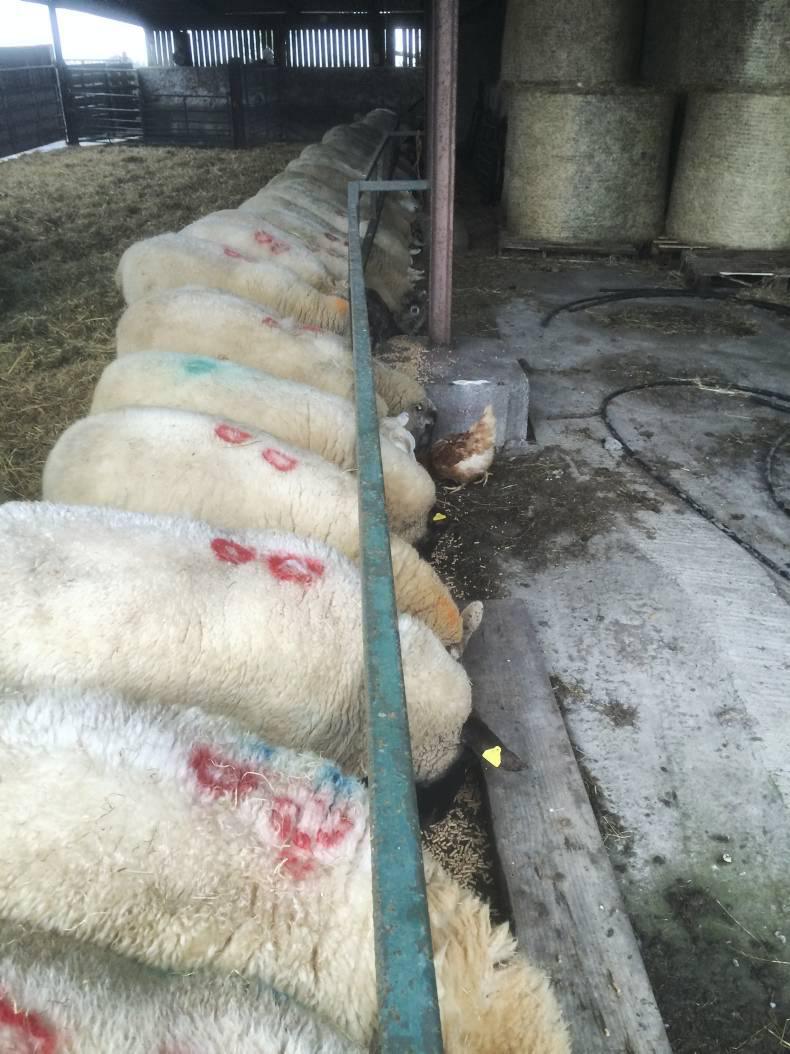 Farmer Writes: However bad things seem, it will get better Farmer Writes: However bad things seem, it will get better