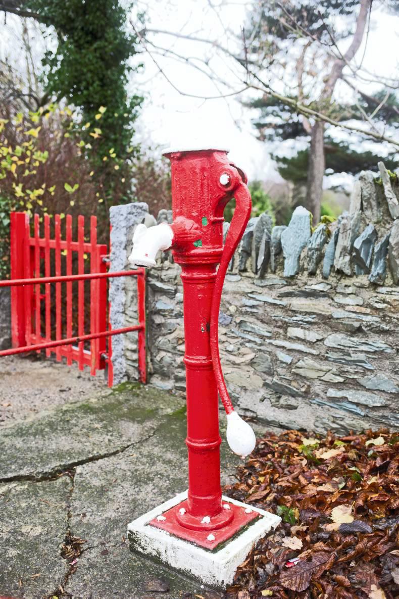 A vibrant community in Co Kildare A vibrant community in Co Kildare