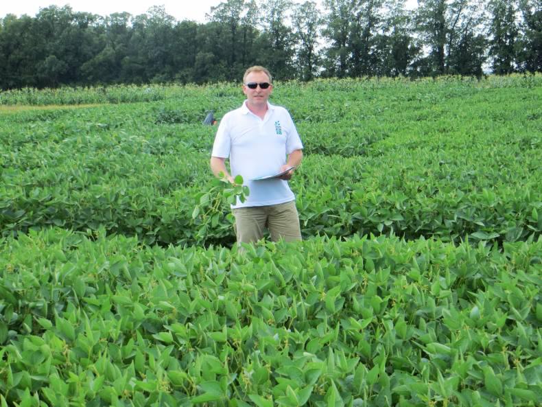 Powering up pulses with Rhizobium Powering up pulses with Rhizobium