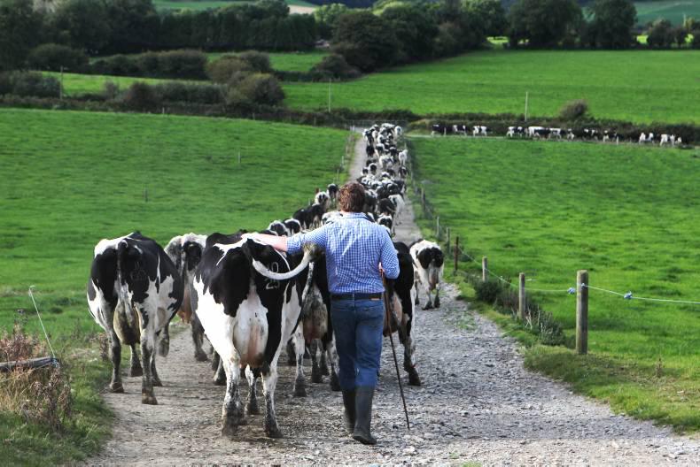 Milk volume up nearly 1bn litres in 2015 Milk volume up nearly 1bn litres in 2015