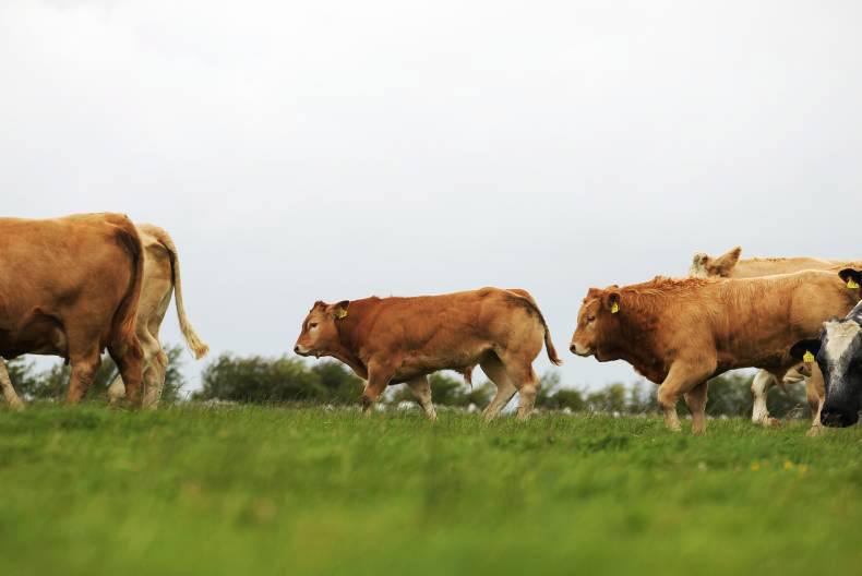 Volatility is buzzword in markets Volatility is buzzword in markets