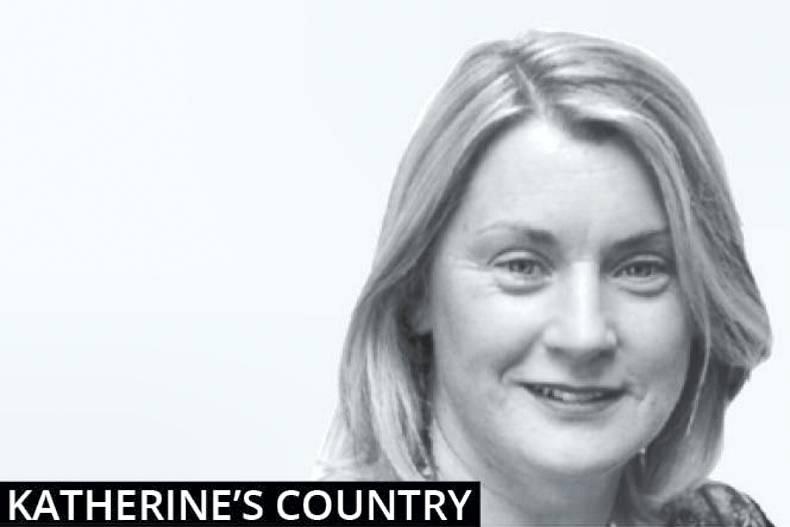 A busy season ahead on the O'Leary farm A busy season ahead on the O'Leary farm