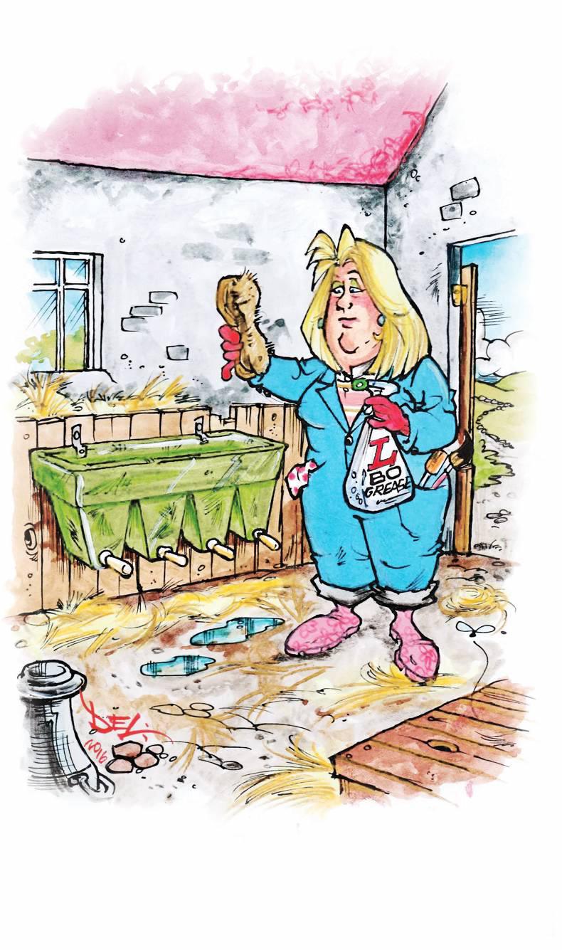 A busy season ahead on the O'Leary farm A busy season ahead on the O'Leary farm