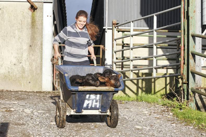 11,500 make it into GLAS II 11,500 make it into GLAS II