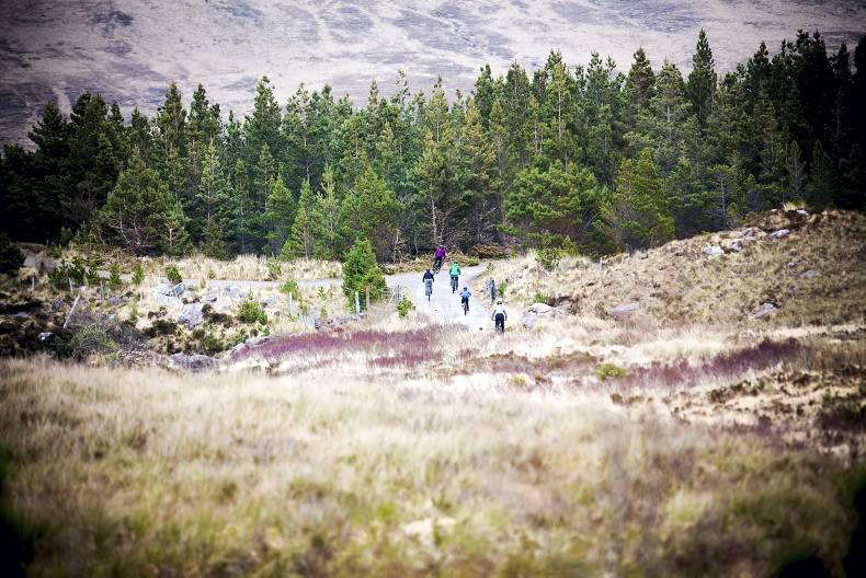 Feast on adventure at Delphi Resort Feast on adventure at Delphi Resort