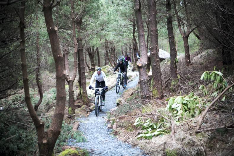 Feast on adventure at Delphi Resort Feast on adventure at Delphi Resort