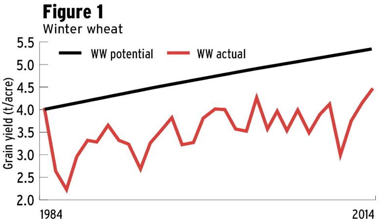 Soil and fertiliser for tillage yield improvement Soil and fertiliser for tillage yield improvement