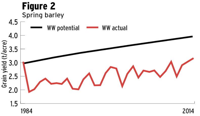 Soil and fertiliser for tillage yield improvement Soil and fertiliser for tillage yield improvement