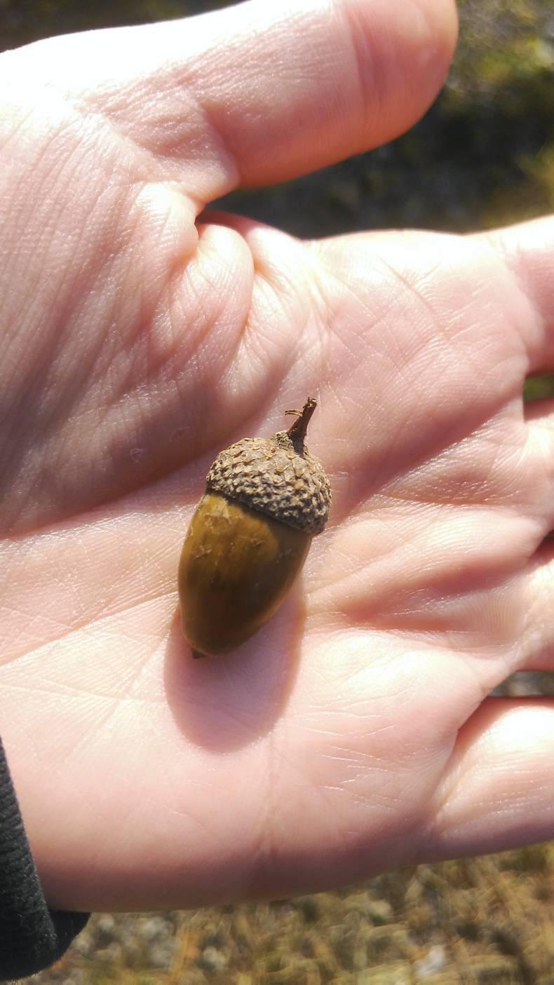 “Mind Yourself” with Catherine Callaghan. “Mind Yourself” with Catherine Callaghan.