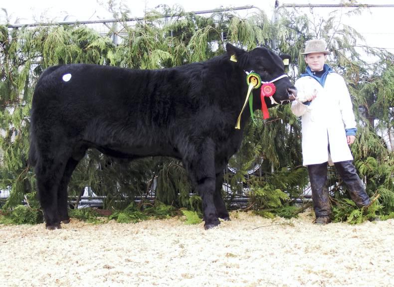 Steady start to Carrick sales Steady start to Carrick sales
