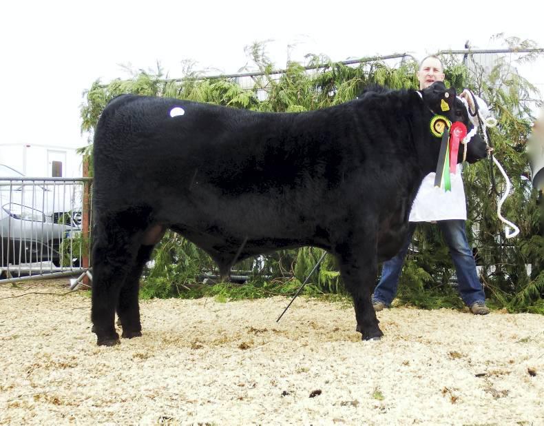 Steady start to Carrick sales Steady start to Carrick sales