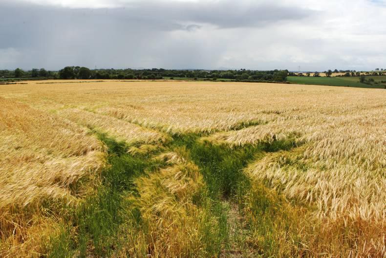 2015 land prices in Louth The complete opposite to 2014 09 March 2016 Premium