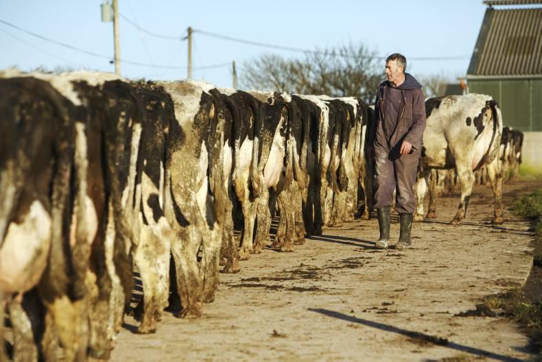 Agricultural jobs in Ireland and abroad - 30 November -0001 Free