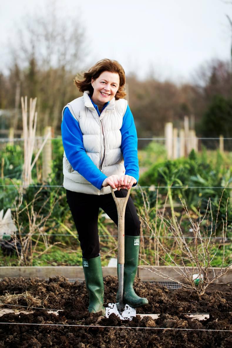 Carmel Hayes - the 15-minute gardener Carmel Hayes - the 15-minute gardener