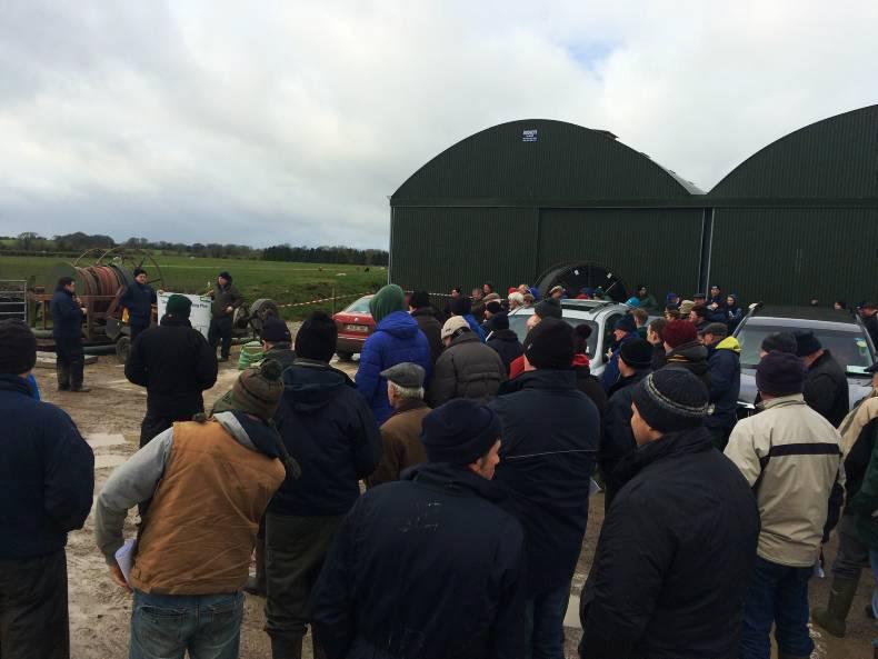 Watch: Testing conditions for grazing in Derrypatrick herd Watch: Testing conditions for grazing in Derrypatrick herd