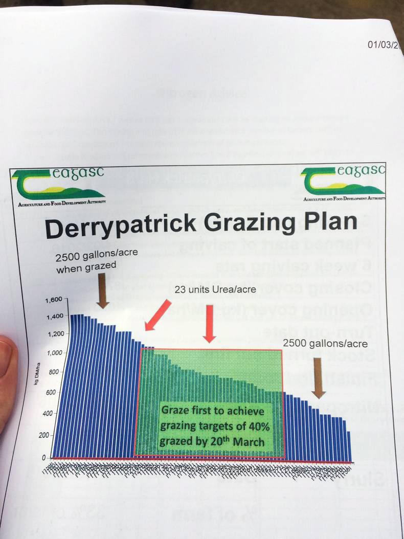 Watch: Testing conditions for grazing in Derrypatrick herd Watch: Testing conditions for grazing in Derrypatrick herd