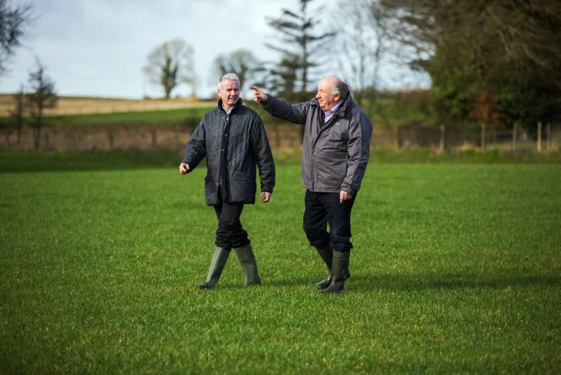 We’re lovin’ it as McDonalds buys 10% of all Irish beef We’re lovin’ it as McDonalds buys 10% of all Irish beef