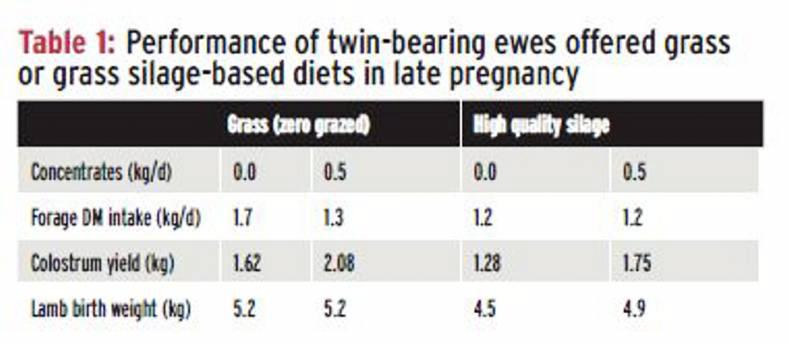 Make the most of grass at lambing time Make the most of grass at lambing time
