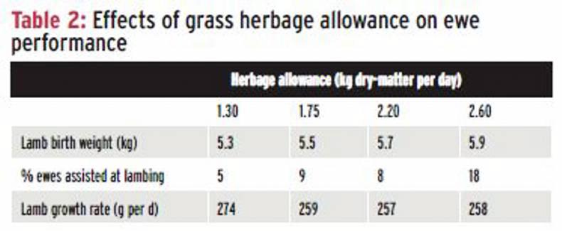 Make the most of grass at lambing time Make the most of grass at lambing time