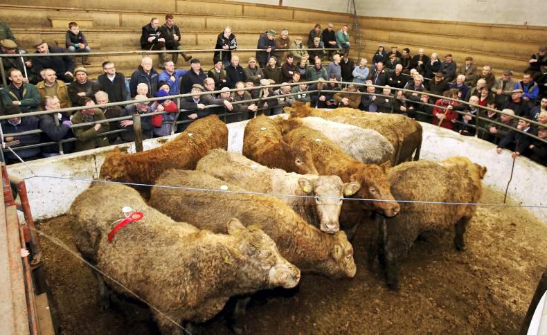 Grass buyers getting more active Grass buyers getting more active