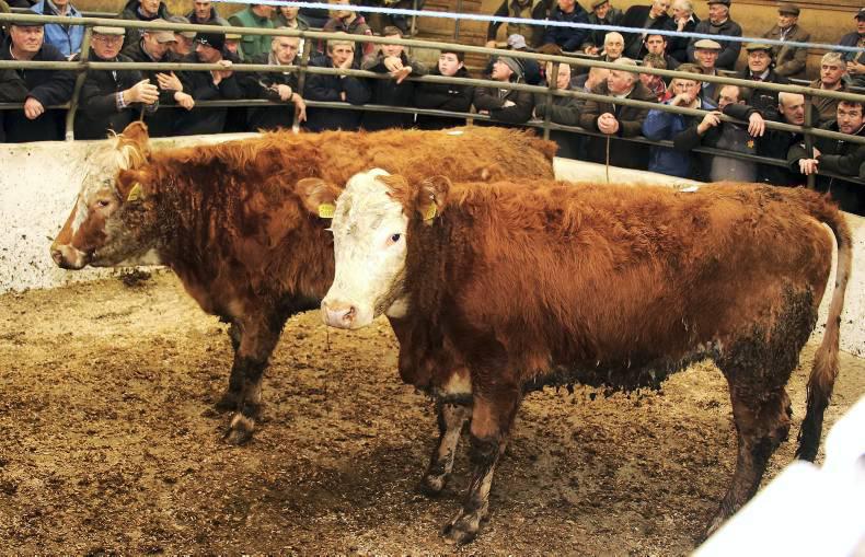 Grass buyers getting more active Grass buyers getting more active