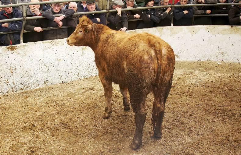 Grass buyers getting more active Grass buyers getting more active