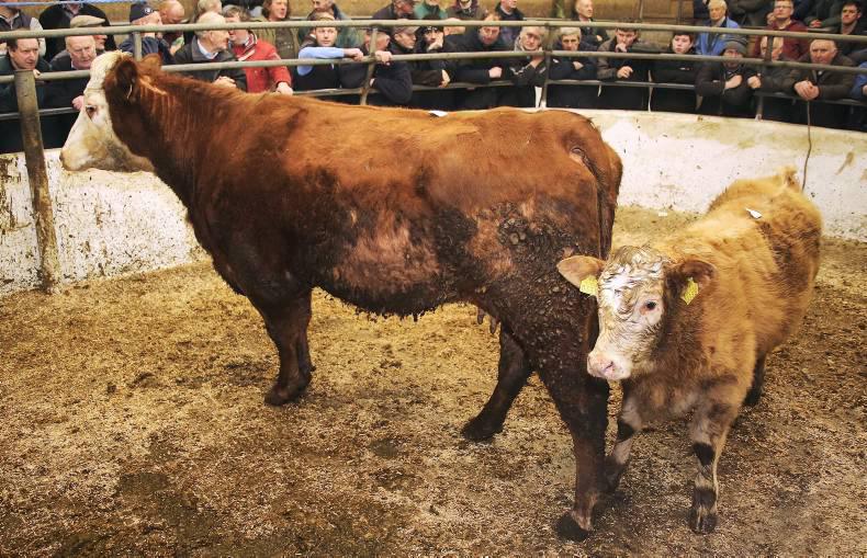 Grass buyers getting more active Grass buyers getting more active