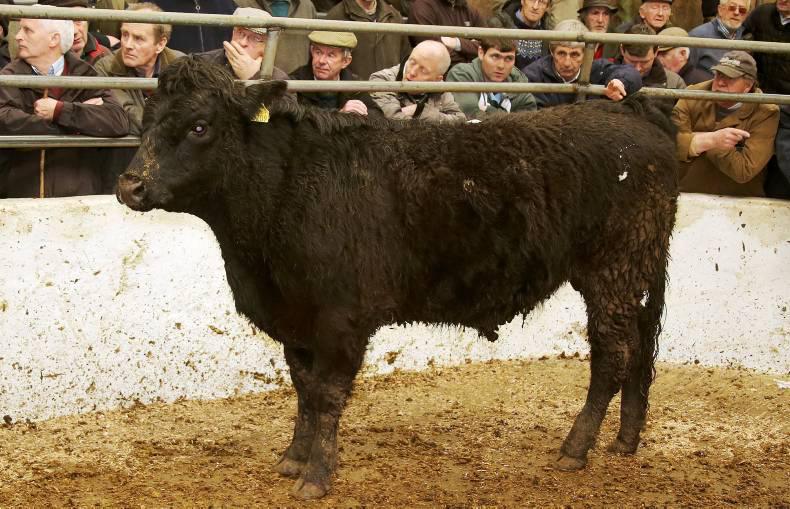 Grass buyers getting more active Grass buyers getting more active