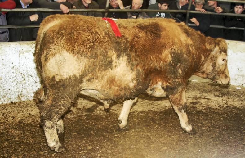 Grass buyers getting more active Grass buyers getting more active