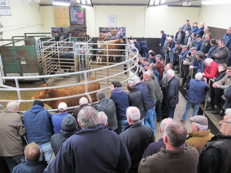 What's on in the marts in the coming weeks What's on in the marts in the coming weeks