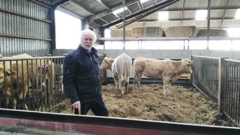 Irish Angus part of sustainability plan on Dutch farm-to-fork enterprise Irish Angus part of sustainability plan on Dutch farm-to-fork enterprise