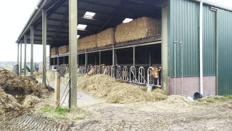 Irish Angus part of sustainability plan on Dutch farm-to-fork enterprise Irish Angus part of sustainability plan on Dutch farm-to-fork enterprise