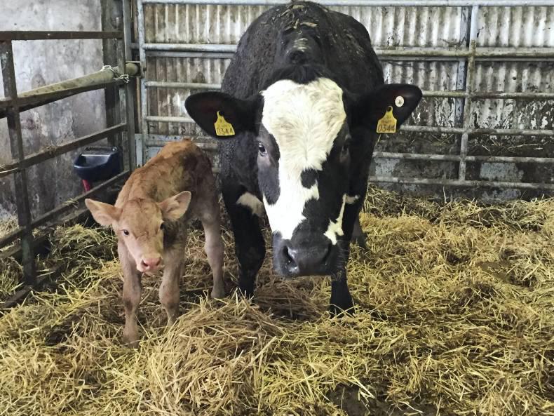 Farmer writes: Tongue-in-cheek comments are only jovial if the audience sees fit Farmer writes: Tongue-in-cheek comments are only jovial if the audience sees fit