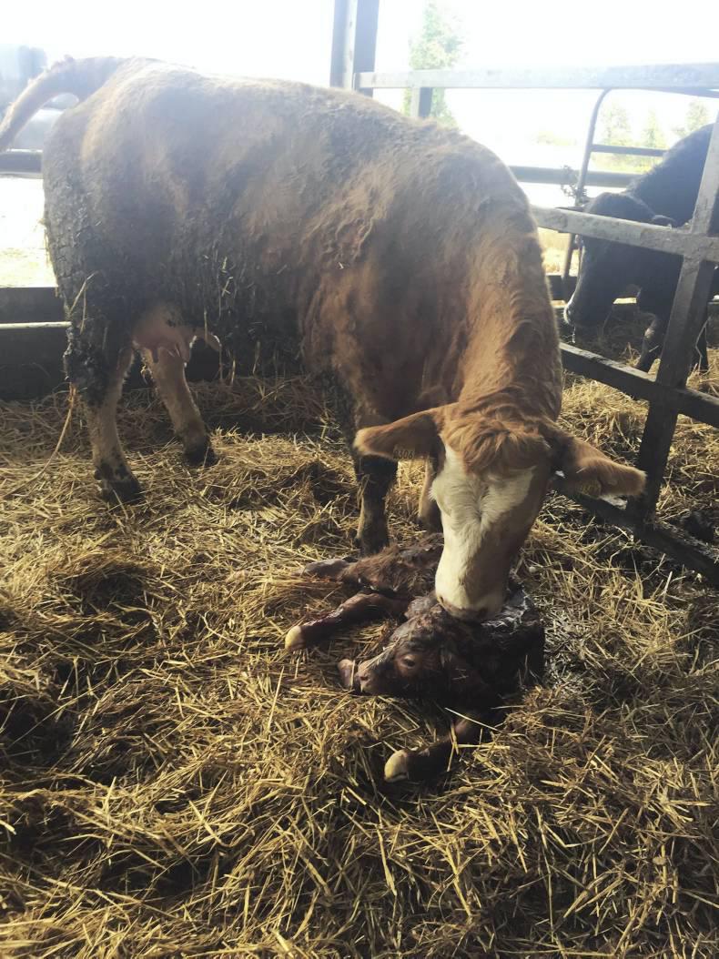 Farmer writes: Tongue-in-cheek comments are only jovial if the audience sees fit Farmer writes: Tongue-in-cheek comments are only jovial if the audience sees fit