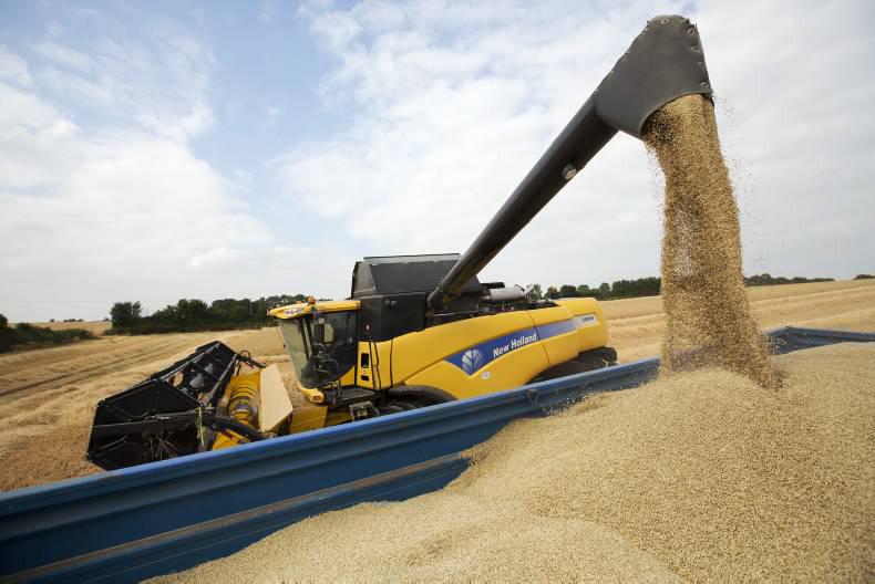 Monday grain market update: prices finish last week on a loss Monday grain market update: prices finish last week on a loss