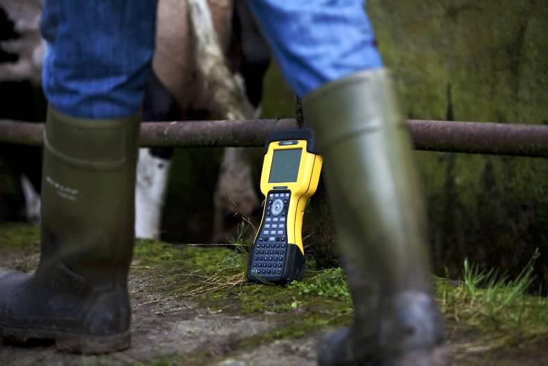 Reader's query: Reader's query: